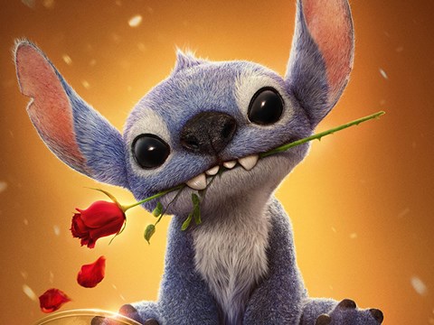 STITCH PIC