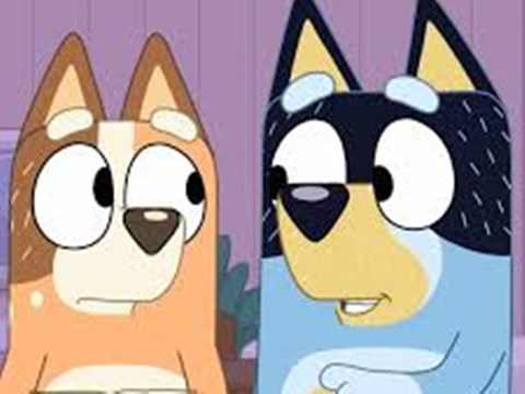 bingo and bluey